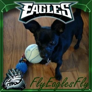 Meet your Posher, Jeremy